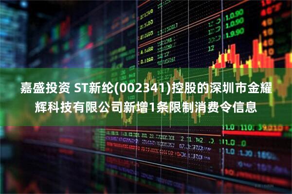嘉盛投资 ST新纶(002341)控股的深圳市金耀辉科技有限公司新增1条限制消费令信息