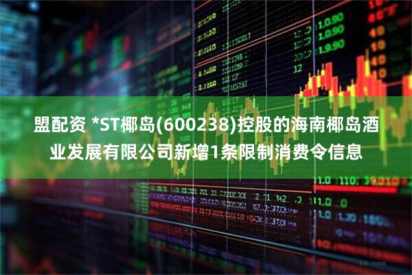 盟配资 *ST椰岛(600238)控股的海南椰岛酒业发展有限公司新增1条限制消费令信息
