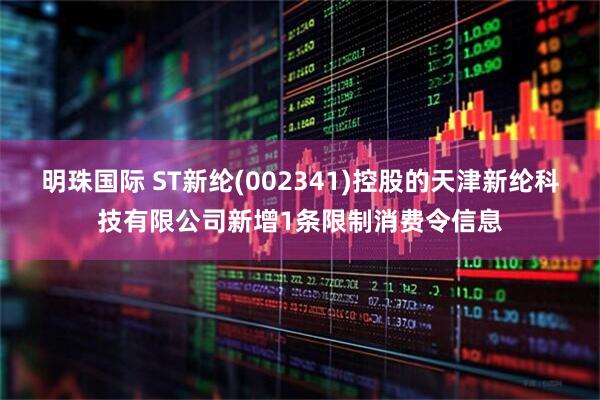 明珠国际 ST新纶(002341)控股的天津新纶科技有限公司新增1条限制消费令信息