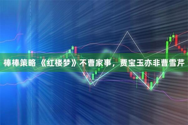 棒棒策略 《红楼梦》不曹家事，贾宝玉亦非曹雪芹