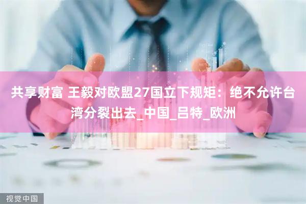 共享财富 王毅对欧盟27国立下规矩：绝不允许台湾分裂出去_中国_吕特_欧洲